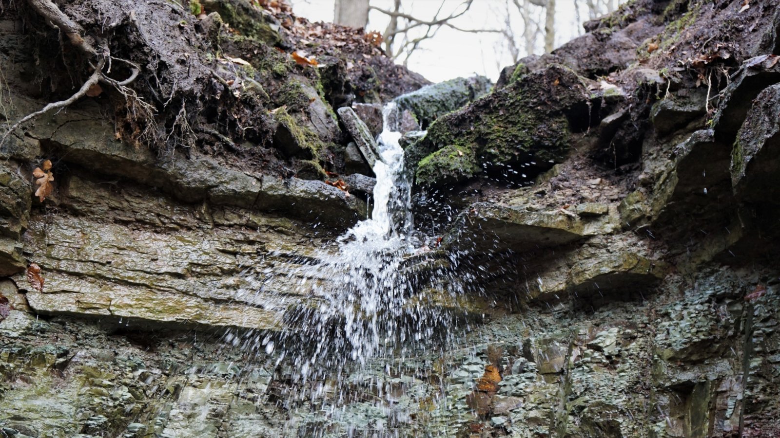 Einen kleinen Wasserfall, der sich über bunte Bodenschichten ergießt, hat Rudi Thalhäuser in einer kleinen Schlucht im Gündelbacher Wald fotografiert. Vor genau einem Jahr hingen dort Eiszapfen. Einen kleinen Wasserfall, der sich über bunte Bodenschichten ergießt, hat Rudi Thalhäuser in einer kleinen Schlucht im Gündelbacher Wald fotografiert. Vor genau einem Jahr hingen dort Eiszapfen.