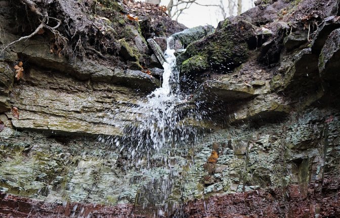 Einen kleinen Wasserfall, der sich über bunte Bodenschichten ergießt, hat Rudi Thalhäuser in einer kleinen Schlucht im Gündelbacher Wald fotografiert. Vor genau einem Jahr hingen dort Eiszapfen.
