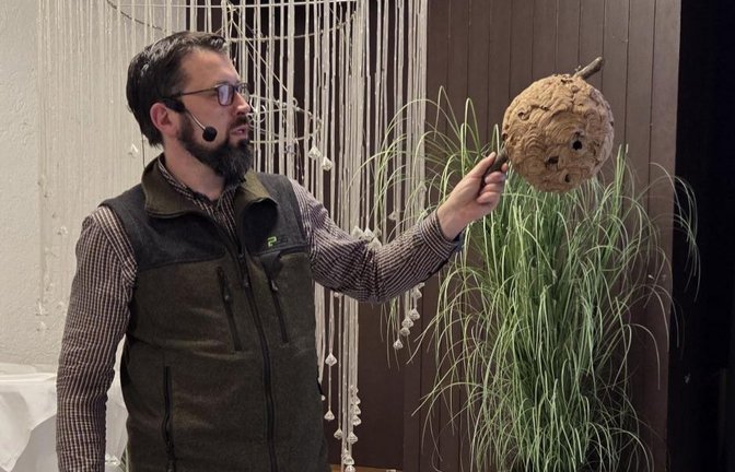 Referent Michael Gues zeigt bei den Vaihinger Imkern ein Primärnest. <span class='image-autor'>Fotos: p</span>