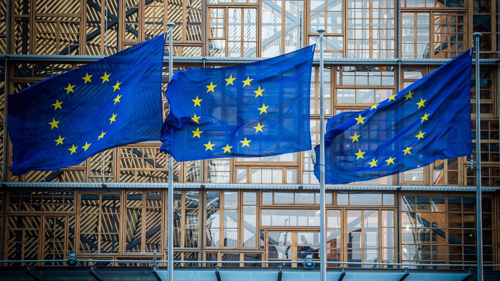 Die geplanten Verschärfungen der Führerscheinregeln verleiten manche EU-Abgeordnete zu Polemik.Foto: dpa/Arne Immanuel Bänsch Die geplanten Verschärfungen der Führerscheinregeln verleiten manche EU-Abgeordnete zu Polemik.Foto: dpa/Arne Immanuel Bänsch