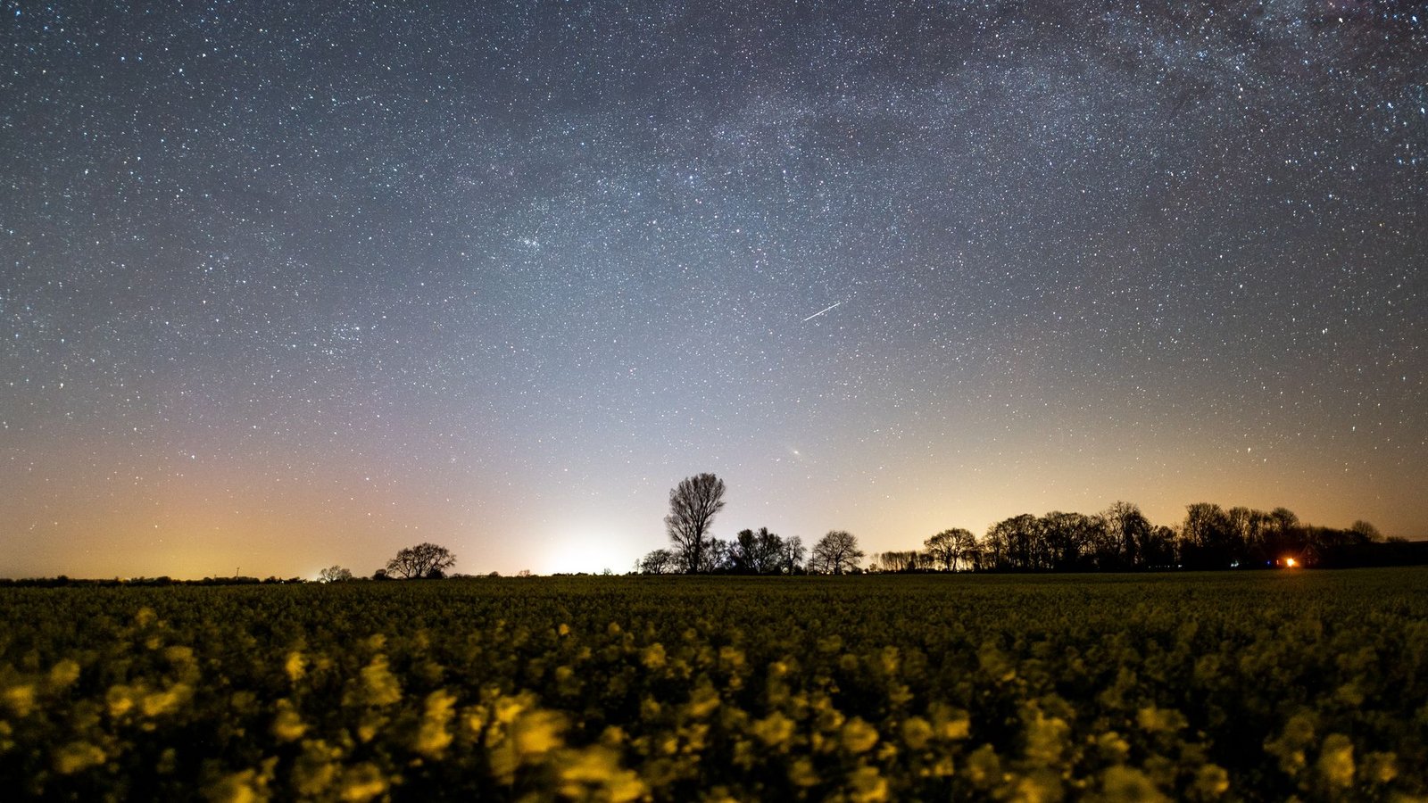 Die Lyriden treten jedes Jahr im April auf. (Archivbild)Foto: Daniel Reinhardt/dpa