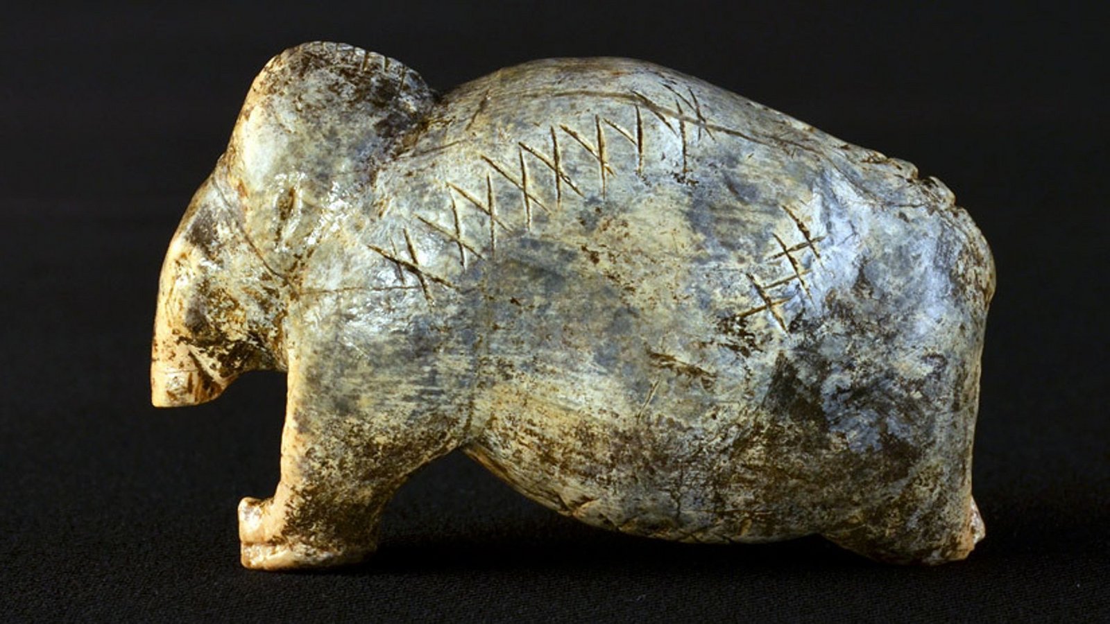 Was bedeuten diese Kreuzreihen auf der 40.000 Jahre alten Mammutfigur aus der schwäbischen Vogelherdhöhle?Foto: © Universität Tübingen/Hildegard Jensen