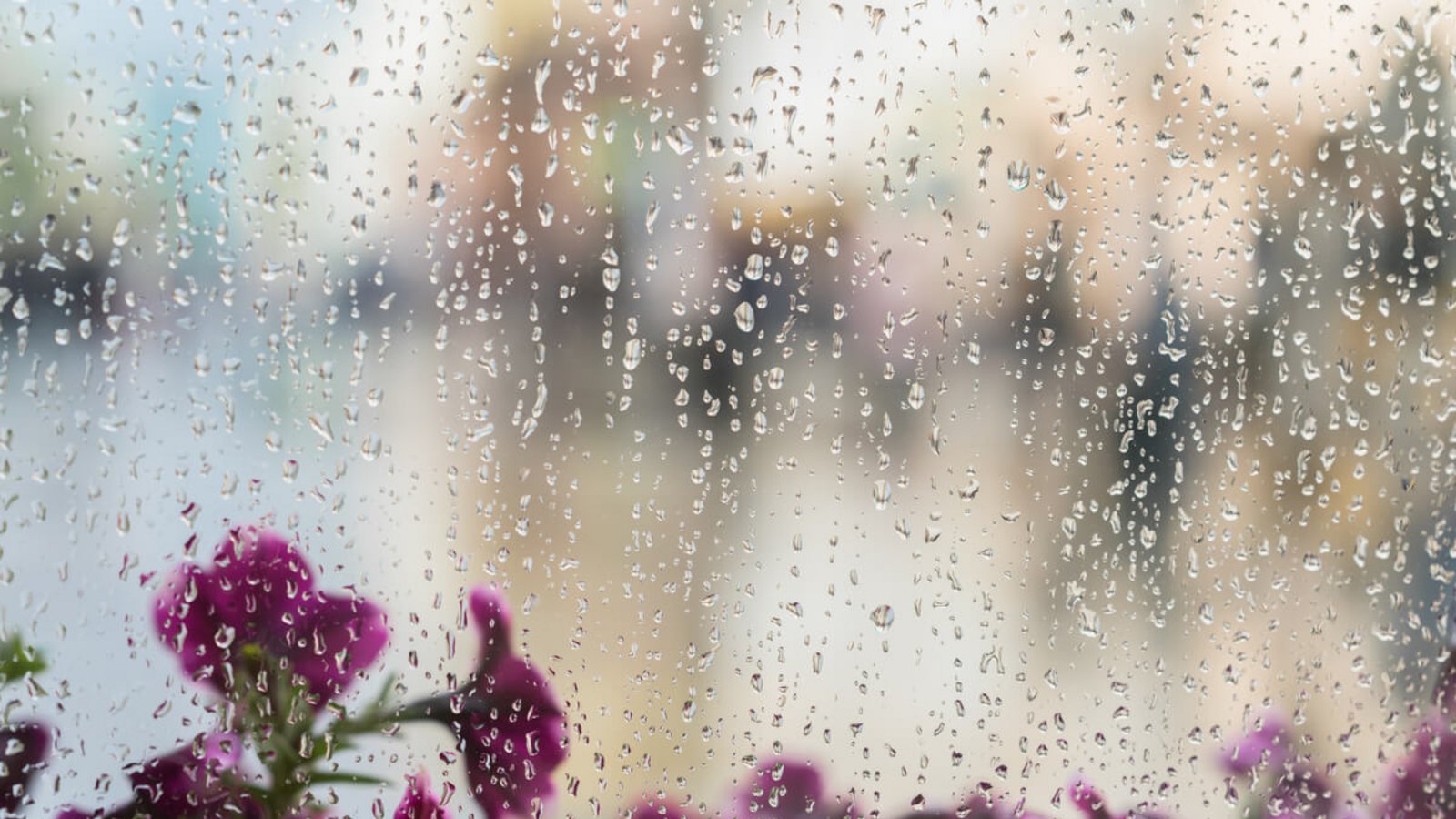Erfahren Sie, wie man vorgehen sollte, wenn man Fenster auch bei Regen putzen möchte.Foto: Svetlana.Is / Shutterstock.com