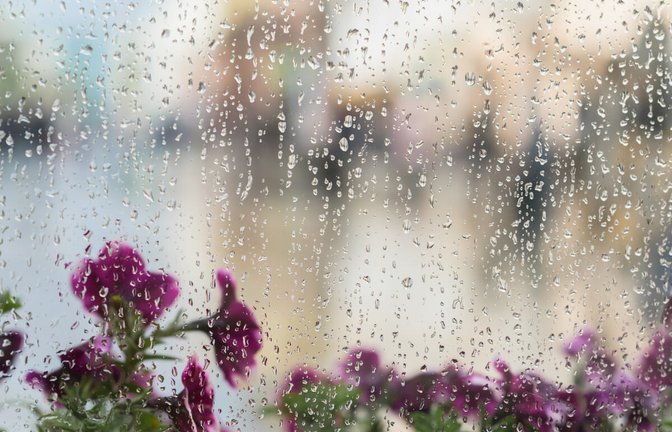 Erfahren Sie, wie man vorgehen sollte, wenn man Fenster auch bei Regen putzen möchte.<span class='image-autor'>Foto: Svetlana.Is / Shutterstock.com</span>