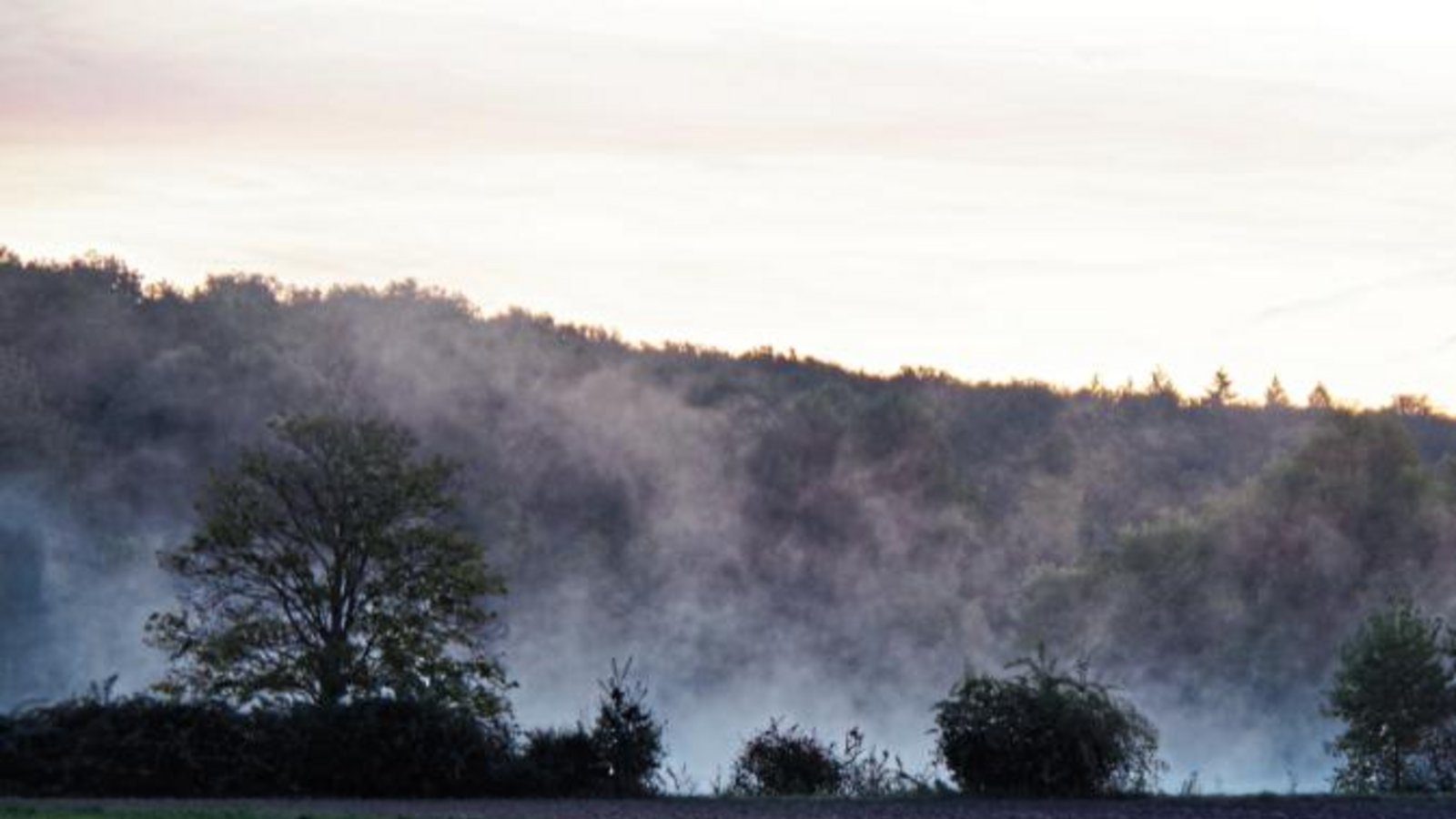 In den frühen Morgenstunden könnte man dieser Tage den Eindruck bekommen, der Ensinger See brenne. Der vermeintliche Rauch, den unsere Leserin Stefanie Post auf dem Weg zur Arbeit fotografiert hat, ist aber nur herbstlicher Dunst. In den frühen Morgenstunden könnte man dieser Tage den Eindruck bekommen, der Ensinger See brenne. Der vermeintliche Rauch, den unsere Leserin Stefanie Post auf dem Weg zur Arbeit fotografiert hat, ist aber nur herbstlicher Dunst.