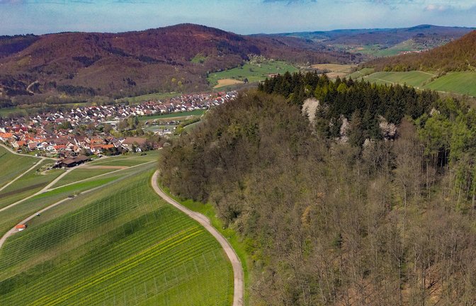 Im Spitalwald hoch über Hohenhaslach wird ein neuer Funkmast errichtet. <span class='image-autor'>Foto: Kalb</span>
