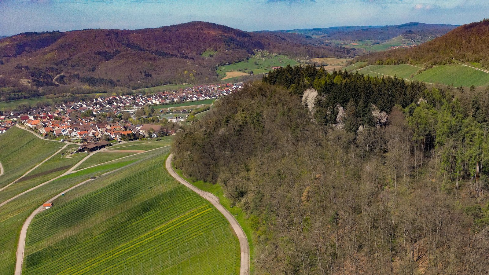 Im Spitalwald hoch über Hohenhaslach wird ein neuer Funkmast errichtet. Foto: Kalb