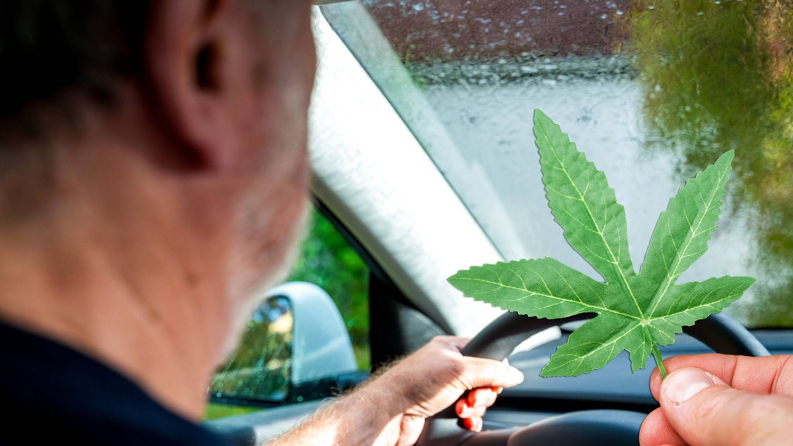 Geht es nach einer unabhängigen Expertenkommission, soll der Grenzwert für Cannabis am Steuer deutlich angehoben werden.Foto: imago/Bihlmayerfotografie Geht es nach einer unabhängigen Expertenkommission, soll der Grenzwert für Cannabis am Steuer deutlich angehoben werden.Foto: imago/Bihlmayerfotografie