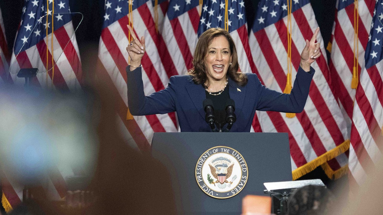 Die Demokraten schicken nun voraussichtlich Kamala Harris ins Rennen um das Präsidentenamt.Foto: dpa/Kayla Wolf