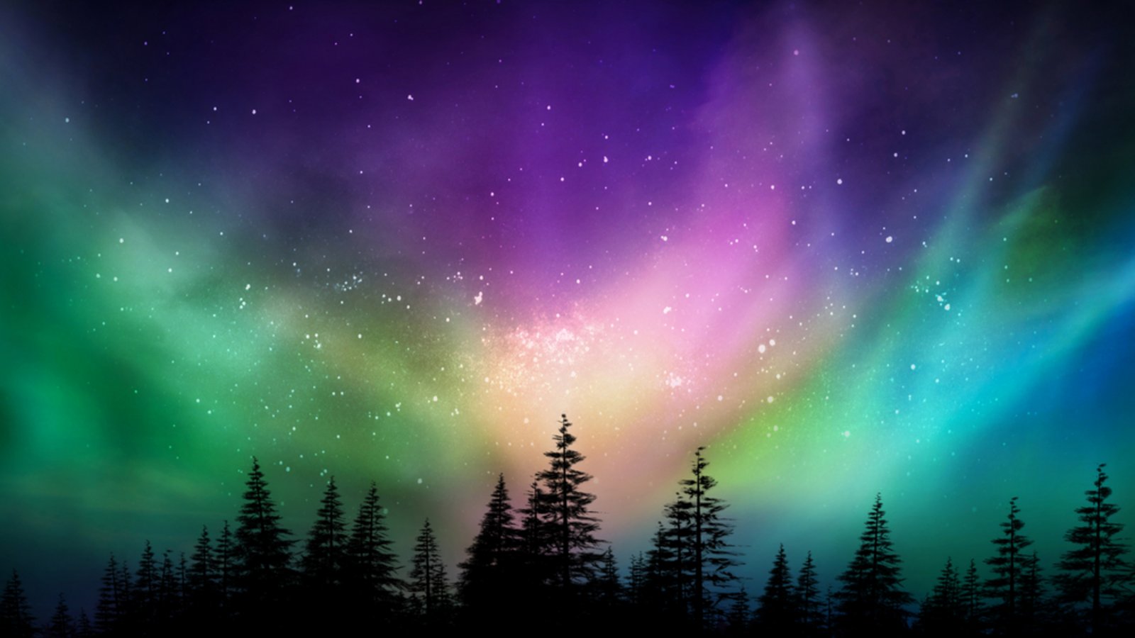 Foto: Sylvie Corriveau / shutterstock.com Foto: Sylvie Corriveau / shutterstock.com