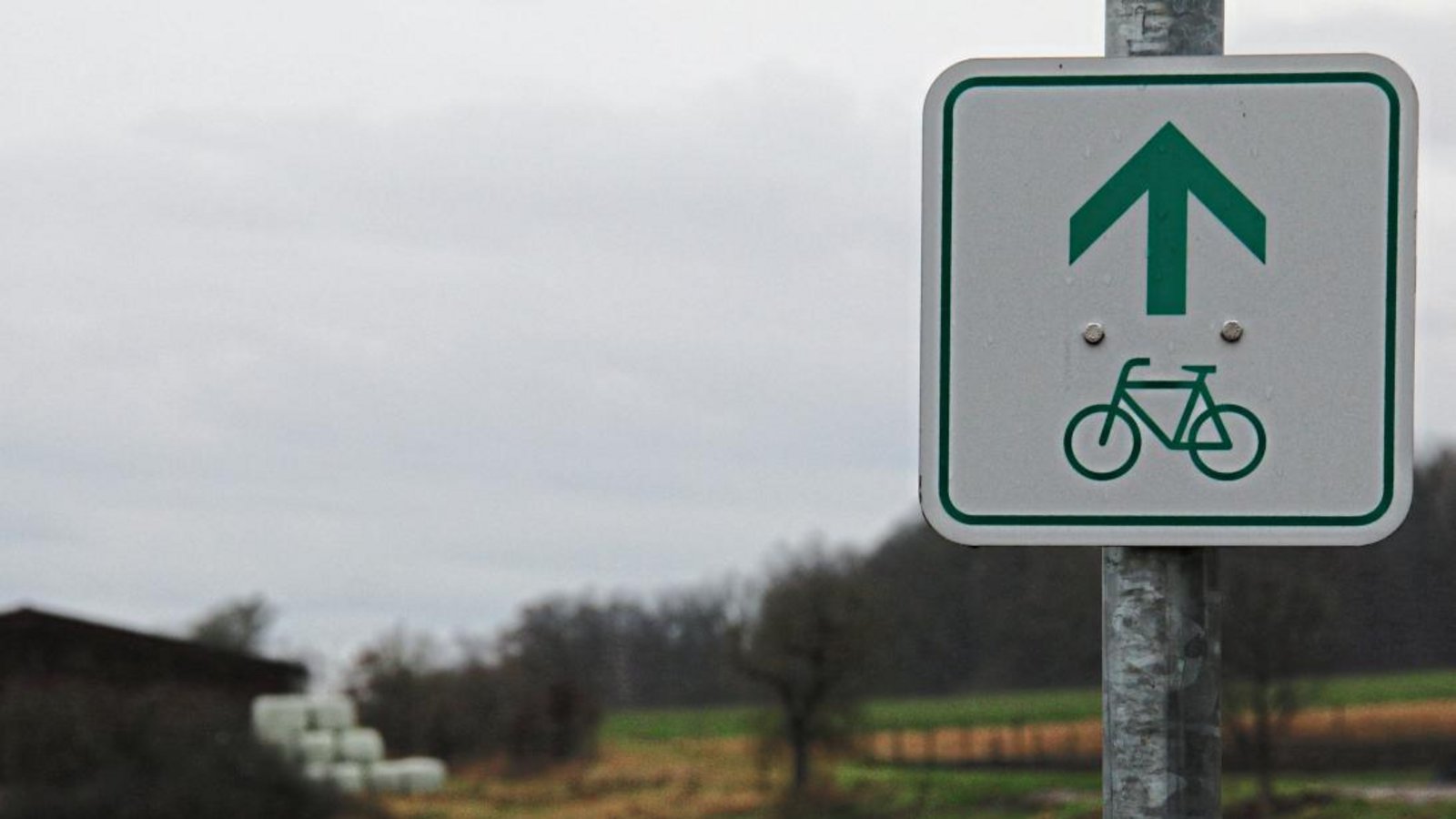 420 000 Euro (abzüglich einer Förderung) sind im Etat 2022 für den Radweg von Illingen nach Lienzingen bereit gestellt. Foto: Bögel 420 000 Euro (abzüglich einer Förderung) sind im Etat 2022 für den Radweg von Illingen nach Lienzingen bereit gestellt. Foto: Bögel