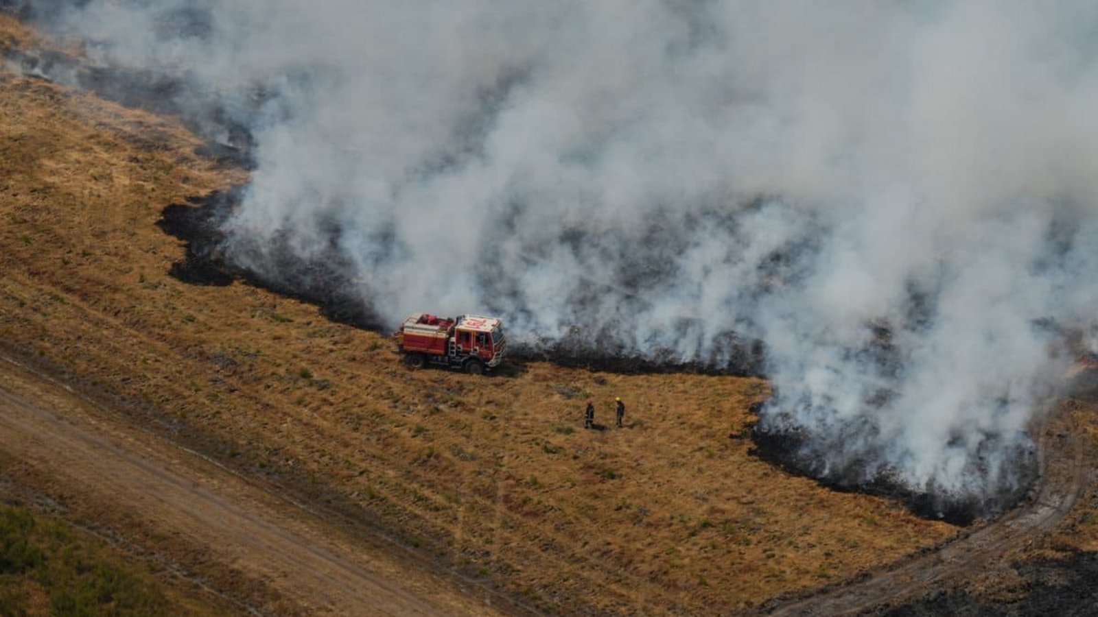 Ares: Feuerwehrleute bekämpfen einen Brand in der Nähe von Ares während der Waldbrände im Südwesten Frankreichs.Baz Ratner/Pool AP/dpa Ares: Feuerwehrleute bekämpfen einen Brand in der Nähe von Ares während der Waldbrände im Südwesten Frankreichs.Baz Ratner/Pool AP/dpa