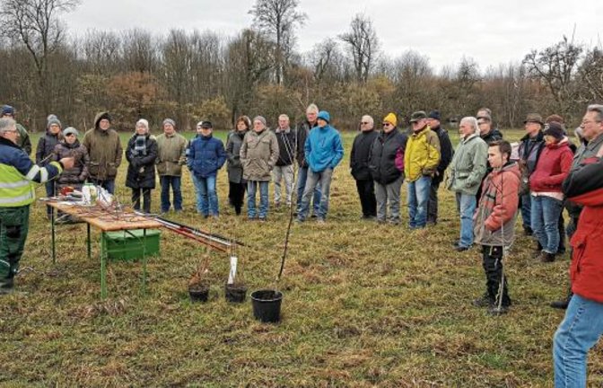 Die Teilnehmer lauschen in Oberriexingenden den Ausführungen des Baumwarts.  Foto: p