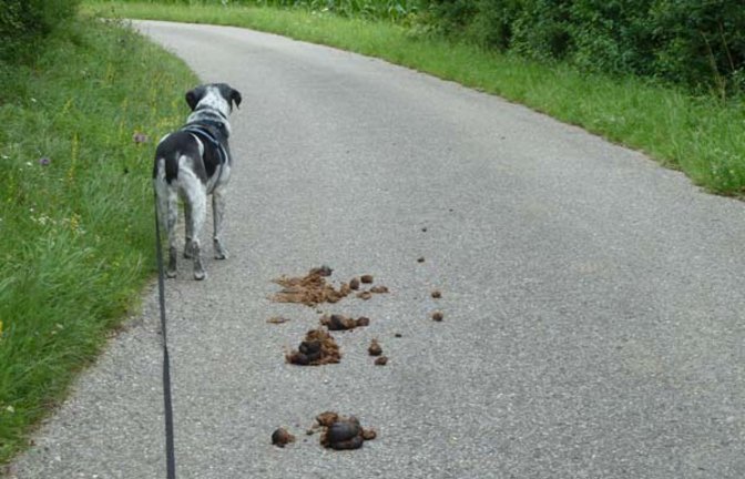Luxusgut Bruno und Pferdeäpfel. Foto: Rücker