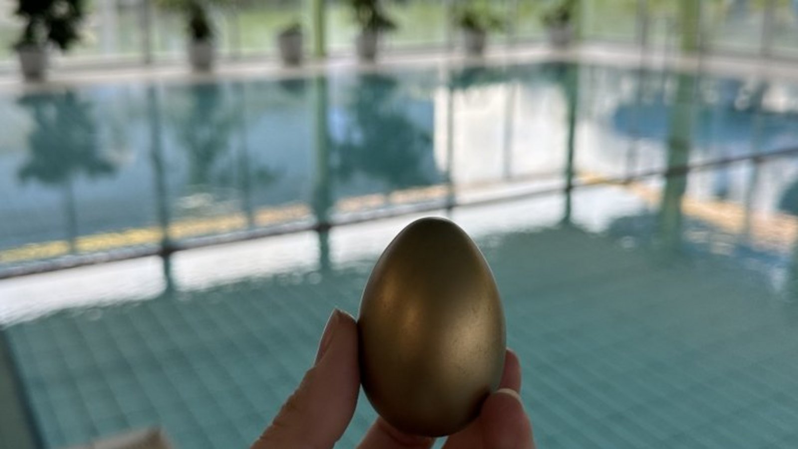 Wer findet das goldene Ei?  Foto: SWLB