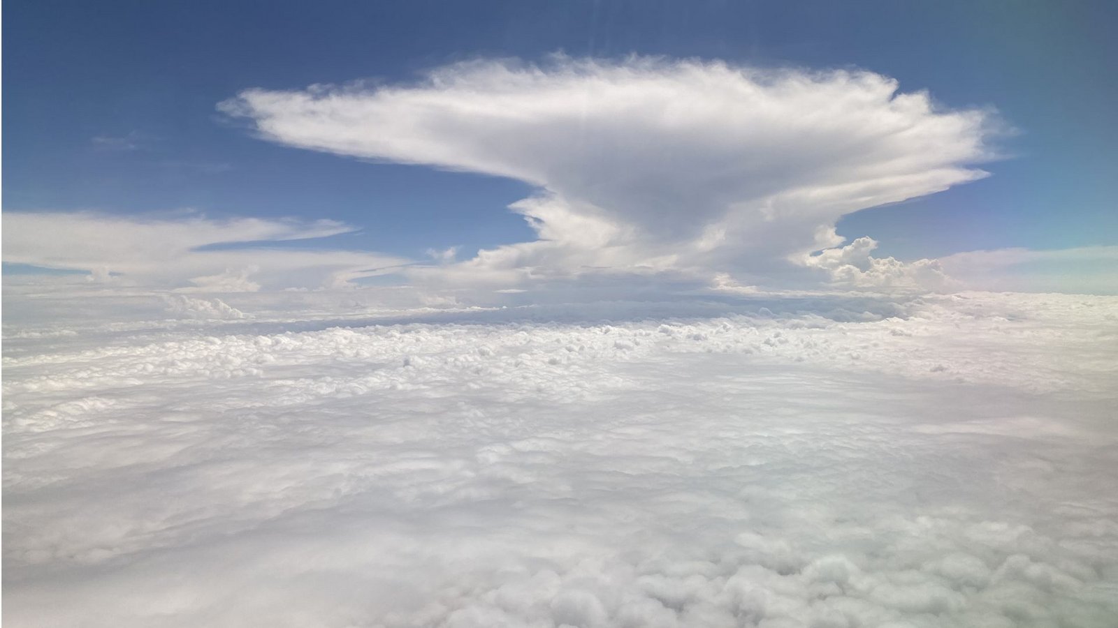 Wolkenbildung über dem Amazonas-Gebiet, aufgenommen bei einem Forschungsflug. Foto:Foto: Philip Holzbeck/MPI für Chemie Wolkenbildung über dem Amazonas-Gebiet, aufgenommen bei einem Forschungsflug. Foto:Foto: Philip Holzbeck/MPI für Chemie