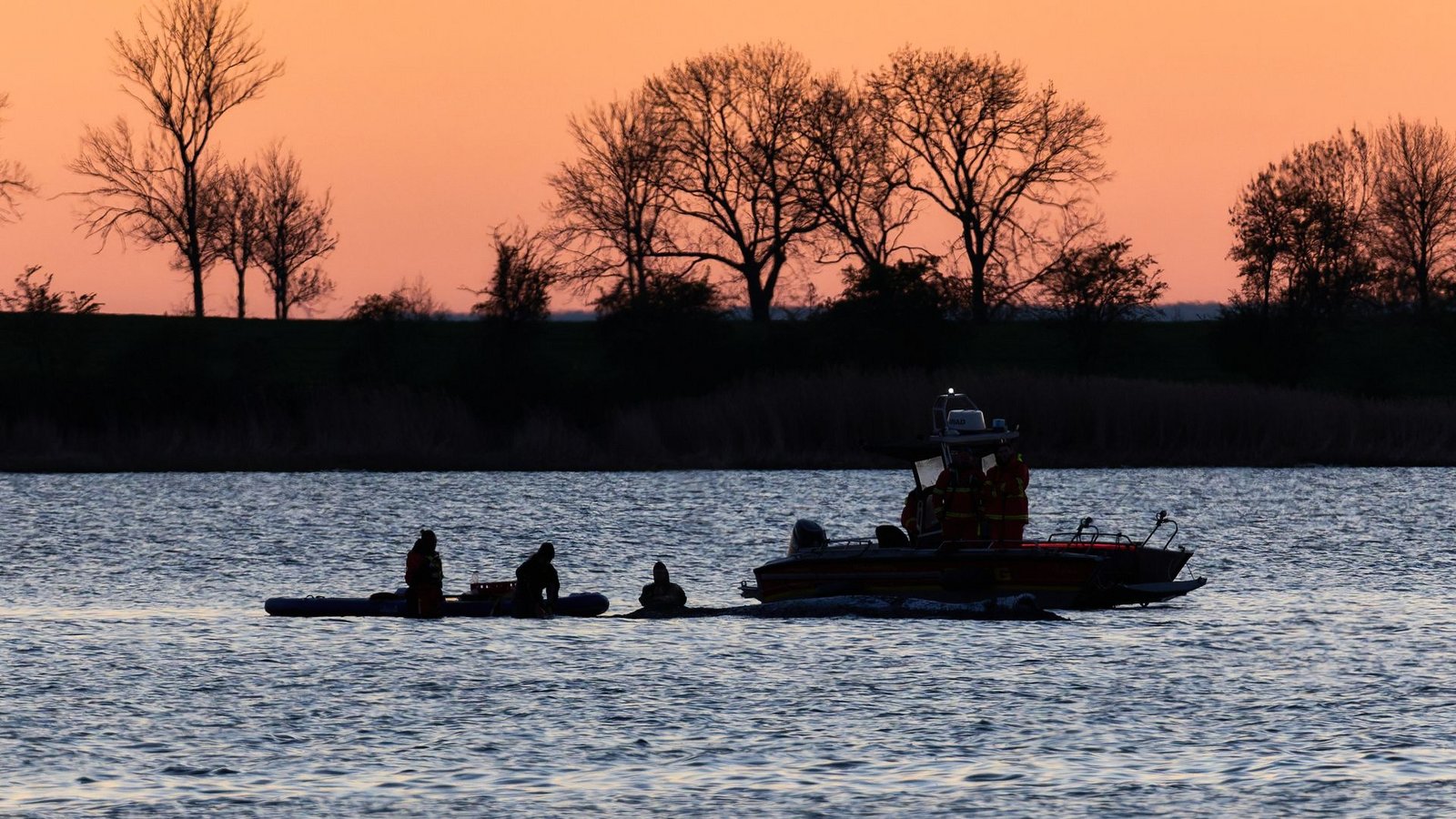 Retten oder nicht retten? Beim Umgang mit dem Wal sind viele Fragen offen.Foto: Marcus Golejewski/dpa