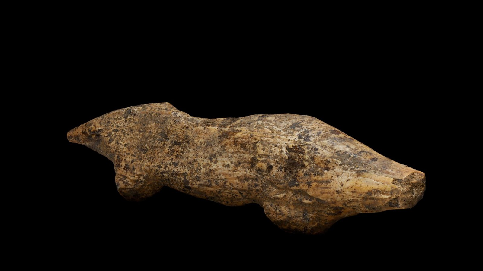 Ein Kunstwerk von gedrungener Form mit kurzem, spitz zulaufenden Schwanz. Die Beine des Tieres sind sehr kurz, der Hals dagegen sehr lang. Der Kopf ist abgebrochen und fehlt.Foto: Universität Tübingen/Ria Litzenberg Ein Kunstwerk von gedrungener Form mit kurzem, spitz zulaufenden Schwanz. Die Beine des Tieres sind sehr kurz, der Hals dagegen sehr lang. Der Kopf ist abgebrochen und fehlt.Foto: Universität Tübingen/Ria Litzenberg