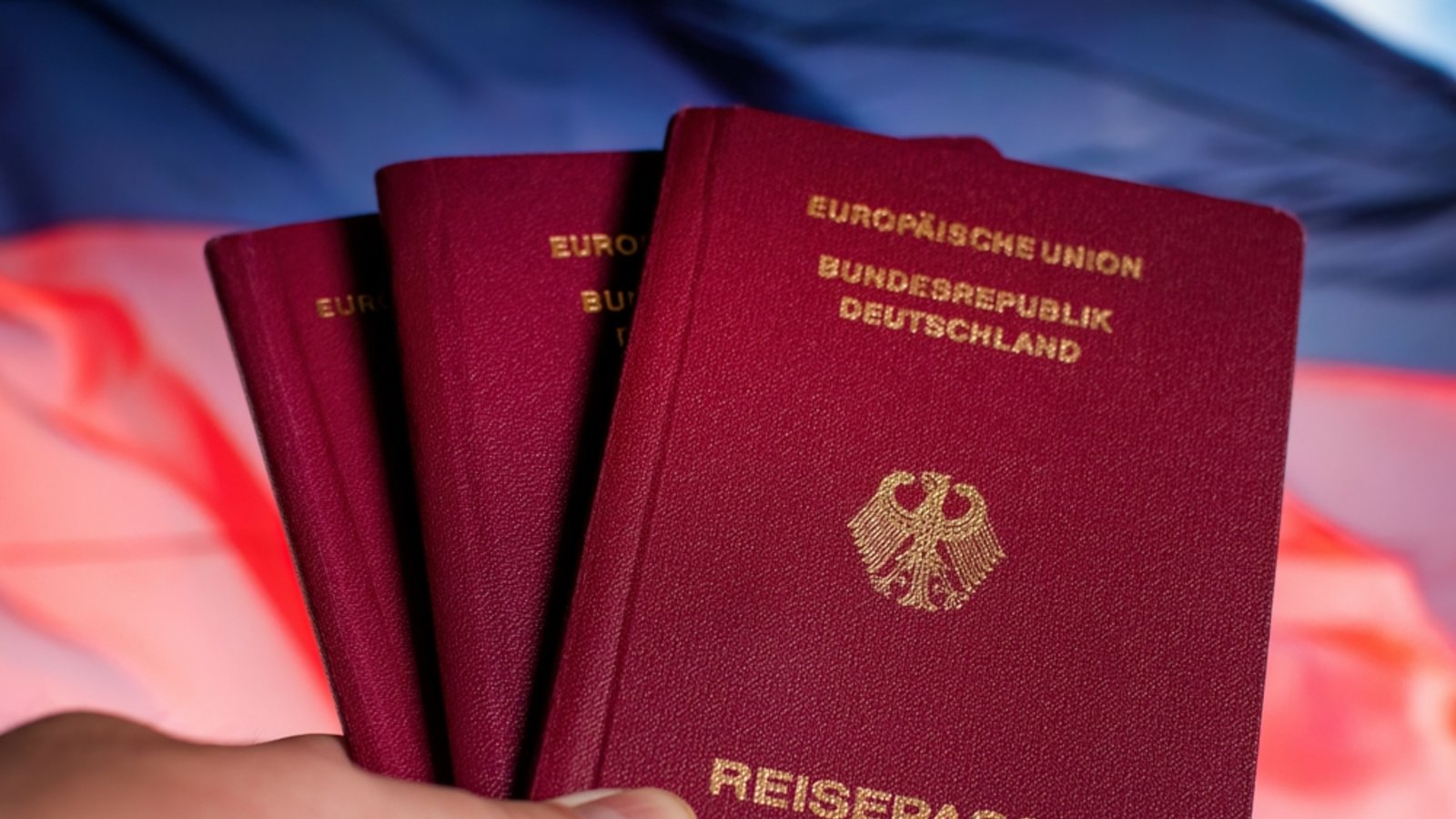 Wohin mit den alten Reisepässen?Foto: VGV MEDIA / shutterstock.com Wohin mit den alten Reisepässen?Foto: VGV MEDIA / shutterstock.com
