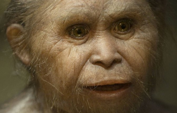 Bis vor rund 50 000 Jahren lebten die rätselhaften kleinen „Hobbit-Menschen“ auf der indonesischen Insel Flores. Obwohl der Homo floresiensis zeitgleich mit dem Homo sapiens lebte, wurde er nur gut einen Meter groß und hatte ein sehr kleines Gehirn.<span class='image-autor'>Foto: Imago/TT</span>
