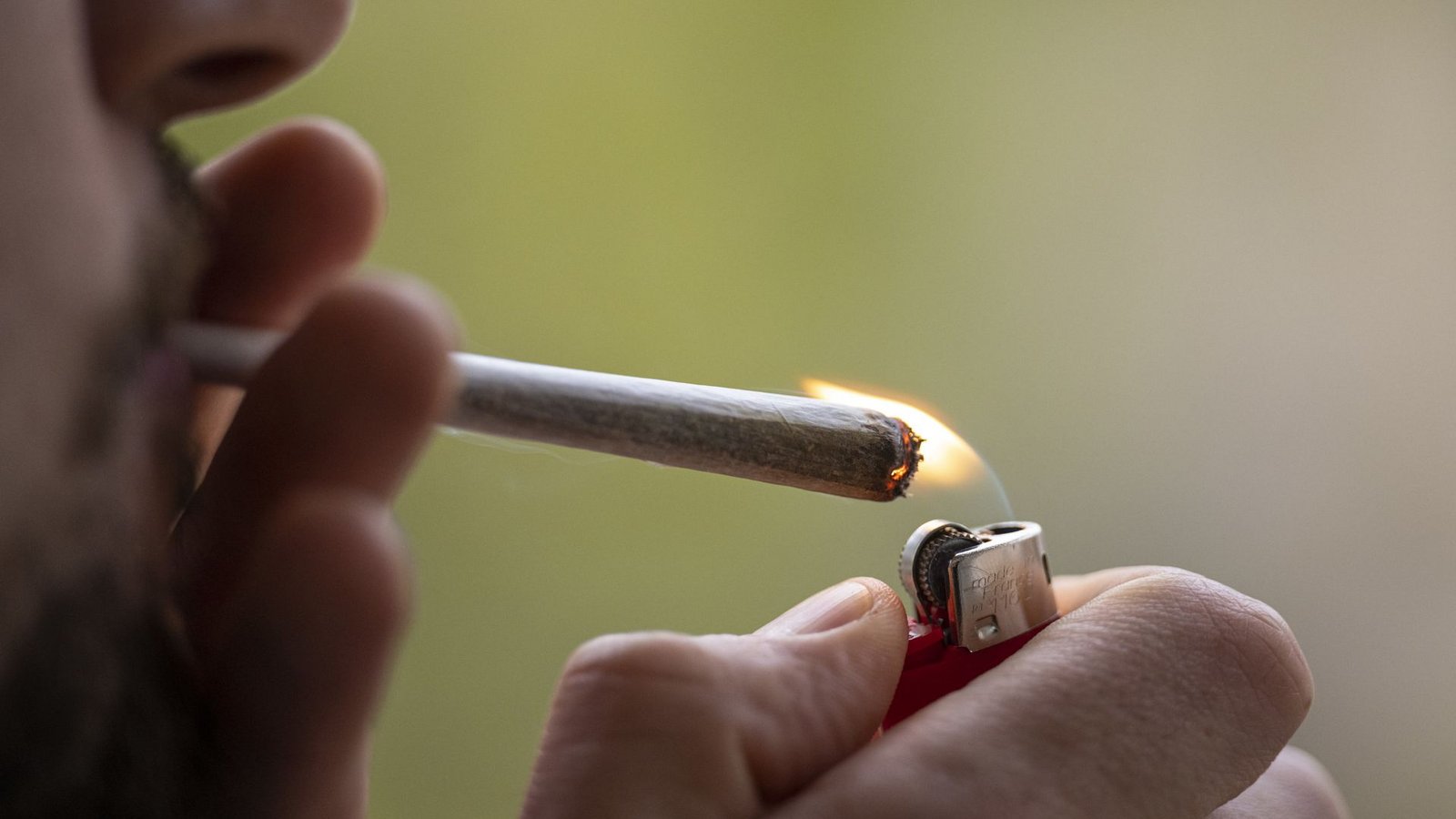 An der Freigabe von Cannabis scheiden sich die Geister.Foto: dpa/Hannes P Albert