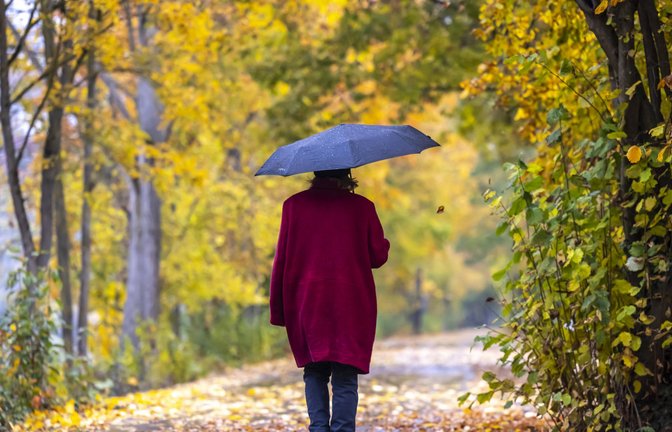 Waldspaziergänge sollte man sich in Stuttgart aufgrund von Gefahren durch Sturmböen gut überlegen.<span class='image-autor'>Foto: imago images/Arnulf Hettrich</span>