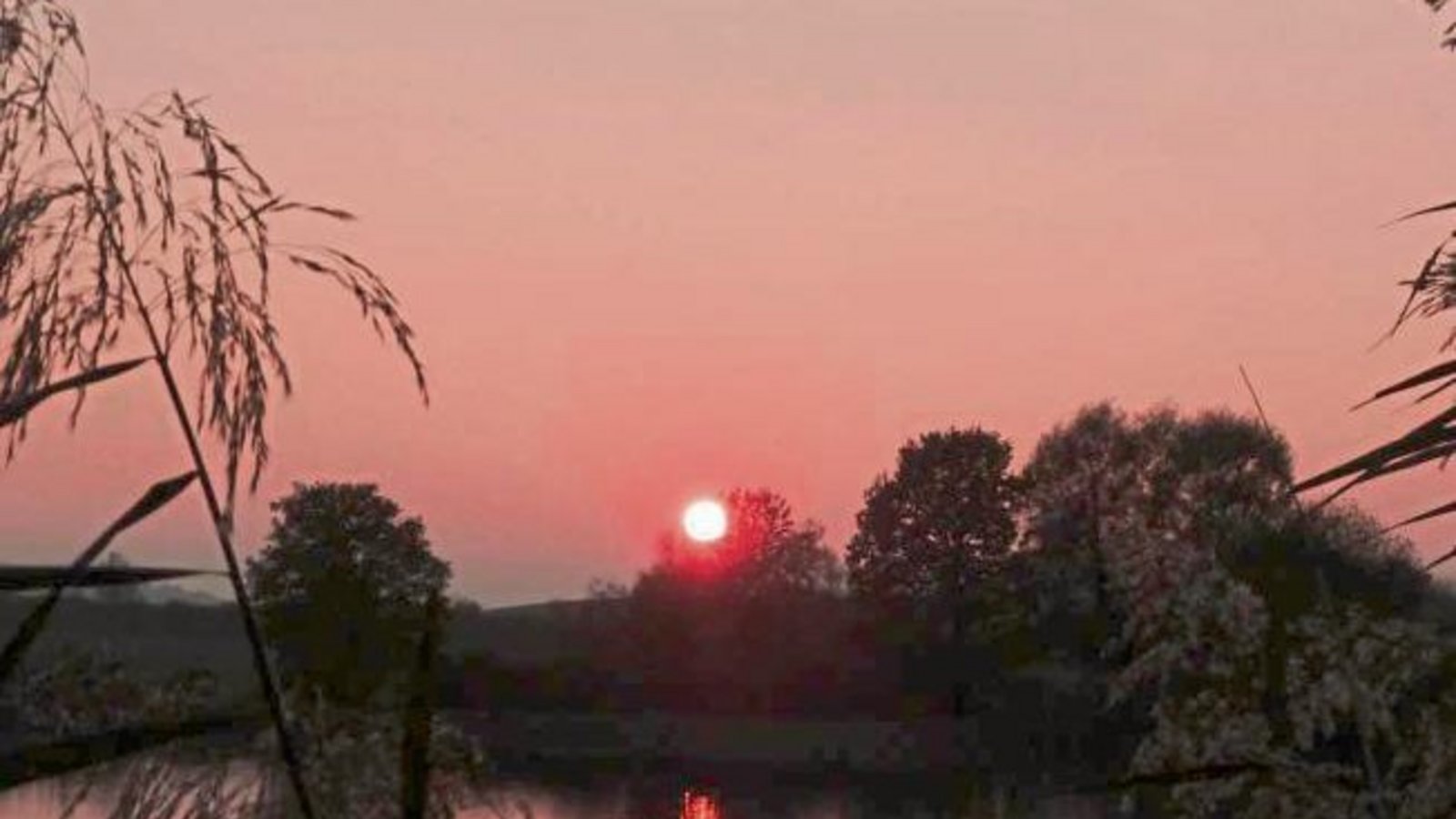 Der Oktober verabschiedet sich mit herrlichen Sonnenuntergängen. Fotografiert am Ensinger See. Foto: Arning Der Oktober verabschiedet sich mit herrlichen Sonnenuntergängen. Fotografiert am Ensinger See. Foto: Arning
