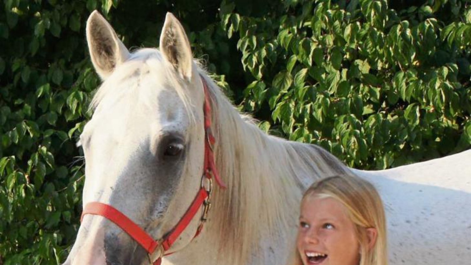 Von der Anstrengung erschöpft, aber glücklich: Finnja Röhm hat mit Whiskey die 90 Kilometer und 1500 Höhenmeter bewältigt und sich Platz zwei in Baden-Württemberg erkämpft. Foto: privat Von der Anstrengung erschöpft, aber glücklich: Finnja Röhm hat mit Whiskey die 90 Kilometer und 1500 Höhenmeter bewältigt und sich Platz zwei in Baden-Württemberg erkämpft. Foto: privat