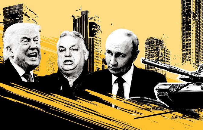 Trump, Orban, Putin: wie erfolgreich sind sie am Ende?<span class='image-autor'>Foto: Björn Locke</span>