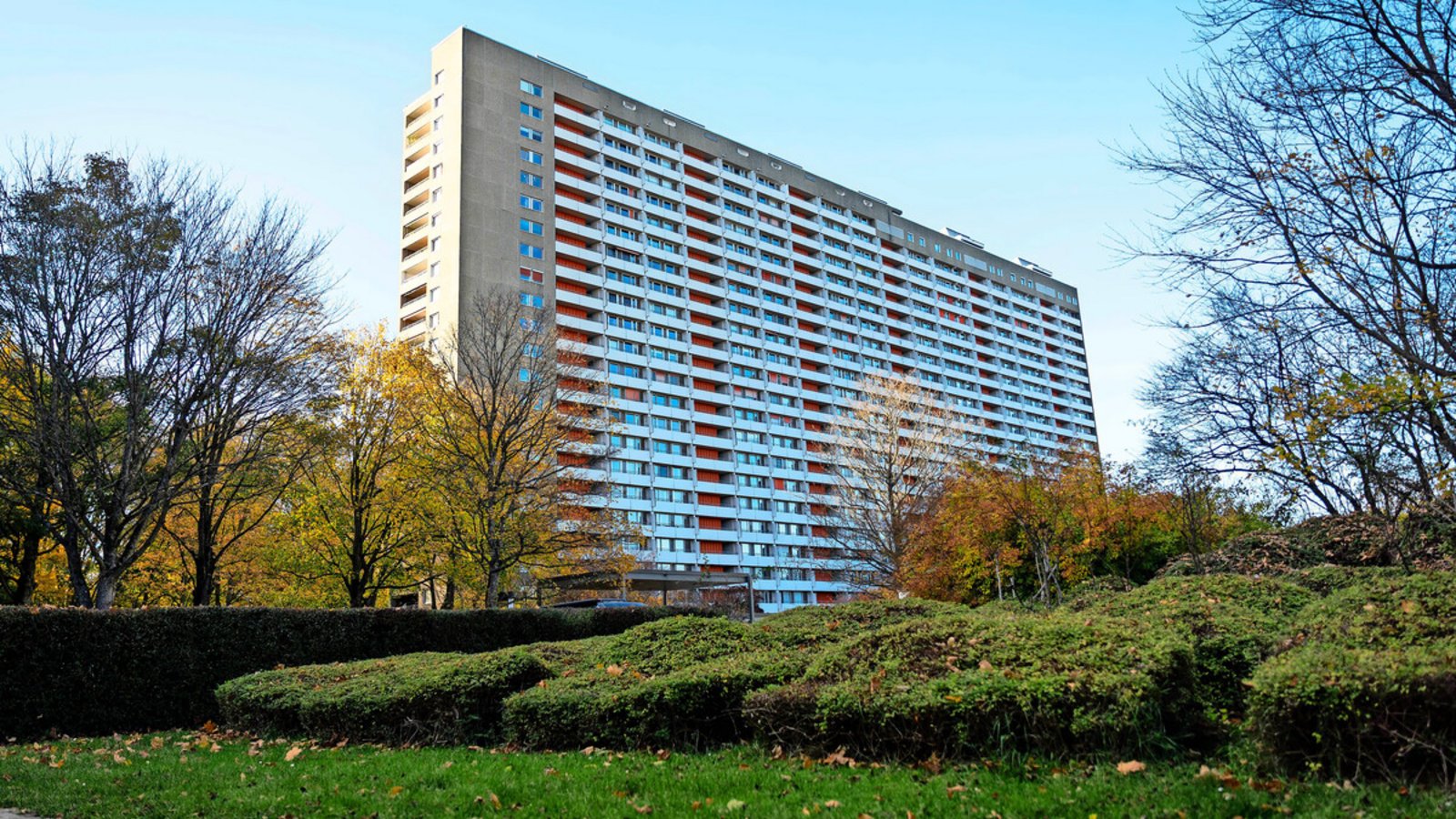 Wird der Asemwald in Sachen Energie künftig ein Vorzeigequartier? Noch sind viele ­Fragen offen.Foto: Lichtgut/Julian Rettig
