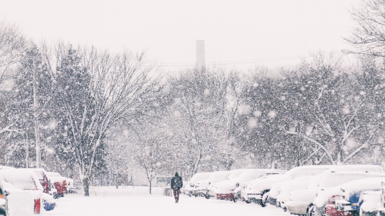 Für Schnee muss es kalt genug sein.Foto: C. R. Gette / shutterstock.com Für Schnee muss es kalt genug sein.Foto: C. R. Gette / shutterstock.com