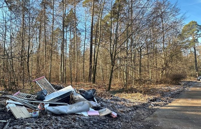 Illegal entsorgter Müll am Stuttgarter Parkplatz Wildparkstraße.<span class='image-autor'>Foto: Jan Sellner</span>