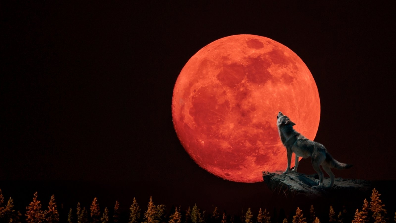 Der Wolfsmond im Januar.Foto: frank60 / shutterstock.com Der Wolfsmond im Januar.Foto: frank60 / shutterstock.com