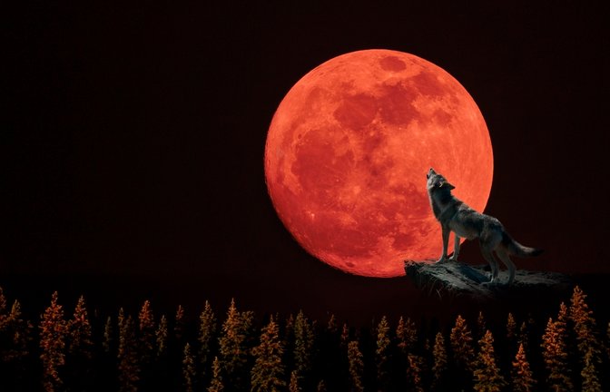 Der Wolfsmond im Januar.<span class='image-autor'>Foto: frank60 / shutterstock.com</span>
