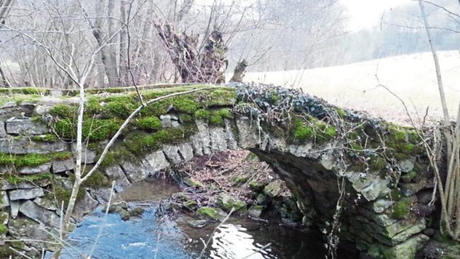 Diese schöne alte Steinbrücke über den Kreuzbach hat unser Leser Martin Schramm in der Nähe der Sorgenmühle unterhalb Sonnenberg entdeckt. „Mich würde schon interessieren, wie alt diese Brücke wohl ist...“, fragt er sich.