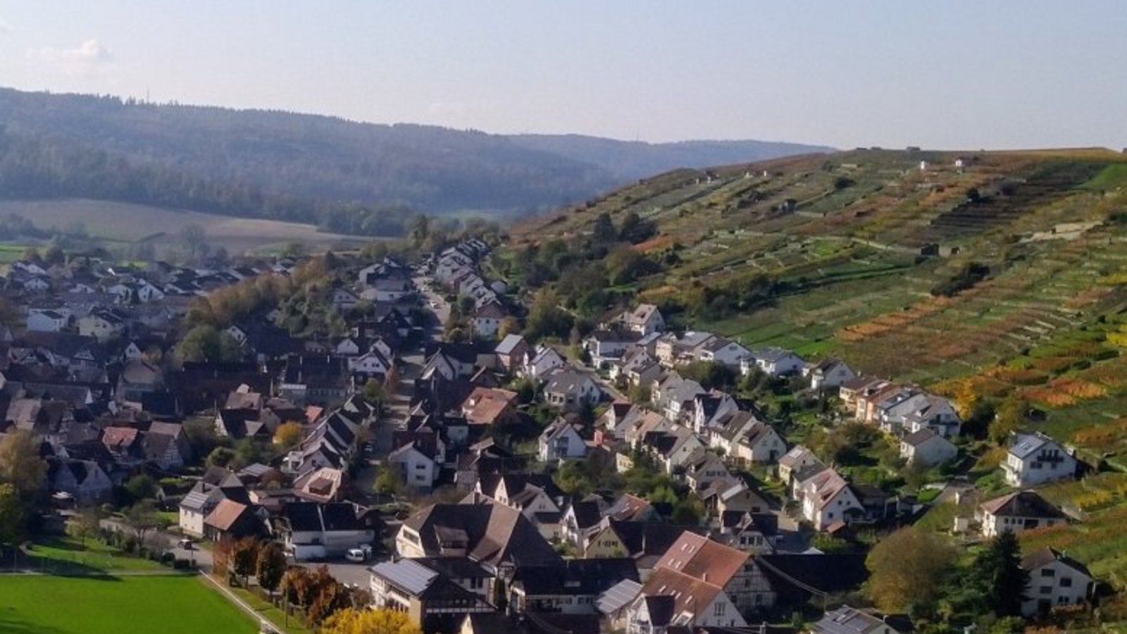 Der gemeinschaftliche Einsatz für die Steillagen könnte prämiert werden. Archivfoto: VKZ/Küppers Der gemeinschaftliche Einsatz für die Steillagen könnte prämiert werden. Archivfoto: VKZ/Küppers