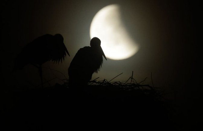 Wie die Wetteraussichten für die partielle Mondfinsternis aussehen, bleibt abzuwarten.<span class='image-autor'>Thomas Warnack/dpa</span>