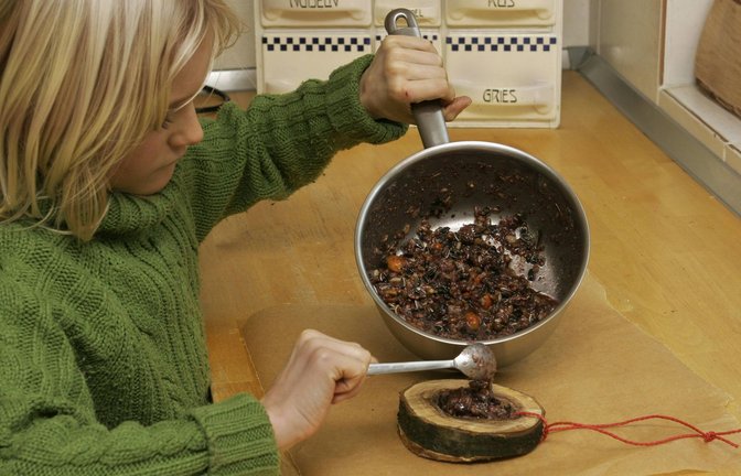 Mit wenigen Zutaten lässt sich schnell Vogelfutter herstellen – und die Kleinen haben eine sinnvolle Beschäftigung. (Symbolfoto)<span class='image-autor'>Foto: imago stock&people/imago stock&people</span>