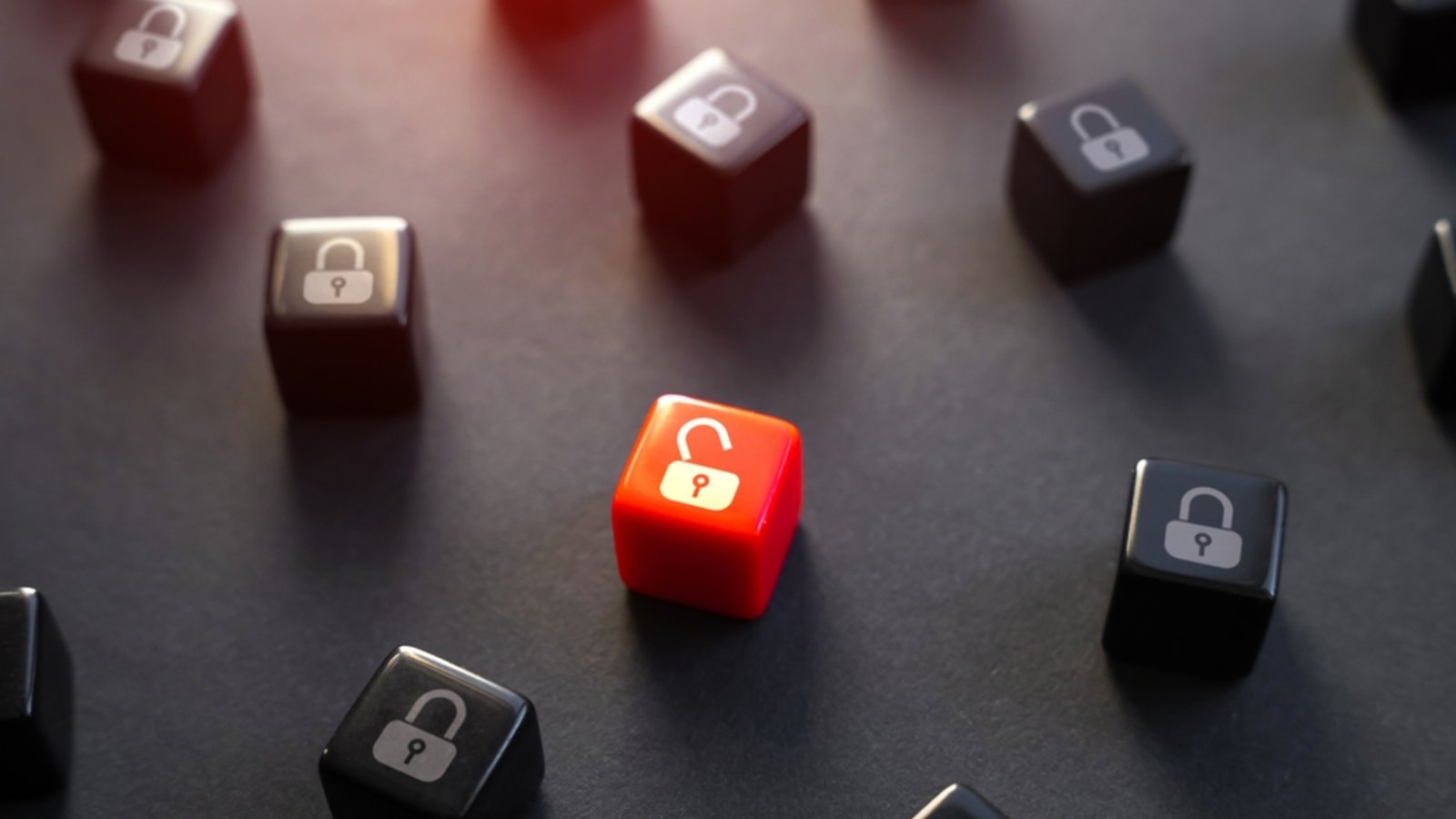 Bei Bonify kam es zu einem Datenleck.Foto: Andrii Yalanskyi / shutterstock.com