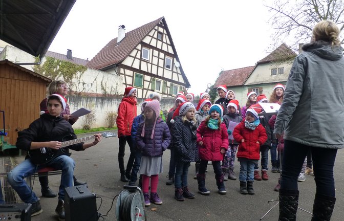 wachtkopfspatzen