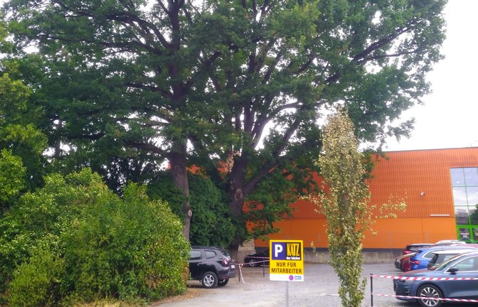 Am Ort einer früheren Garage ist jetzt ein geschotterter Parkplatz angelegt worden. <span class='image-autor'>Foto: Küppers</span>