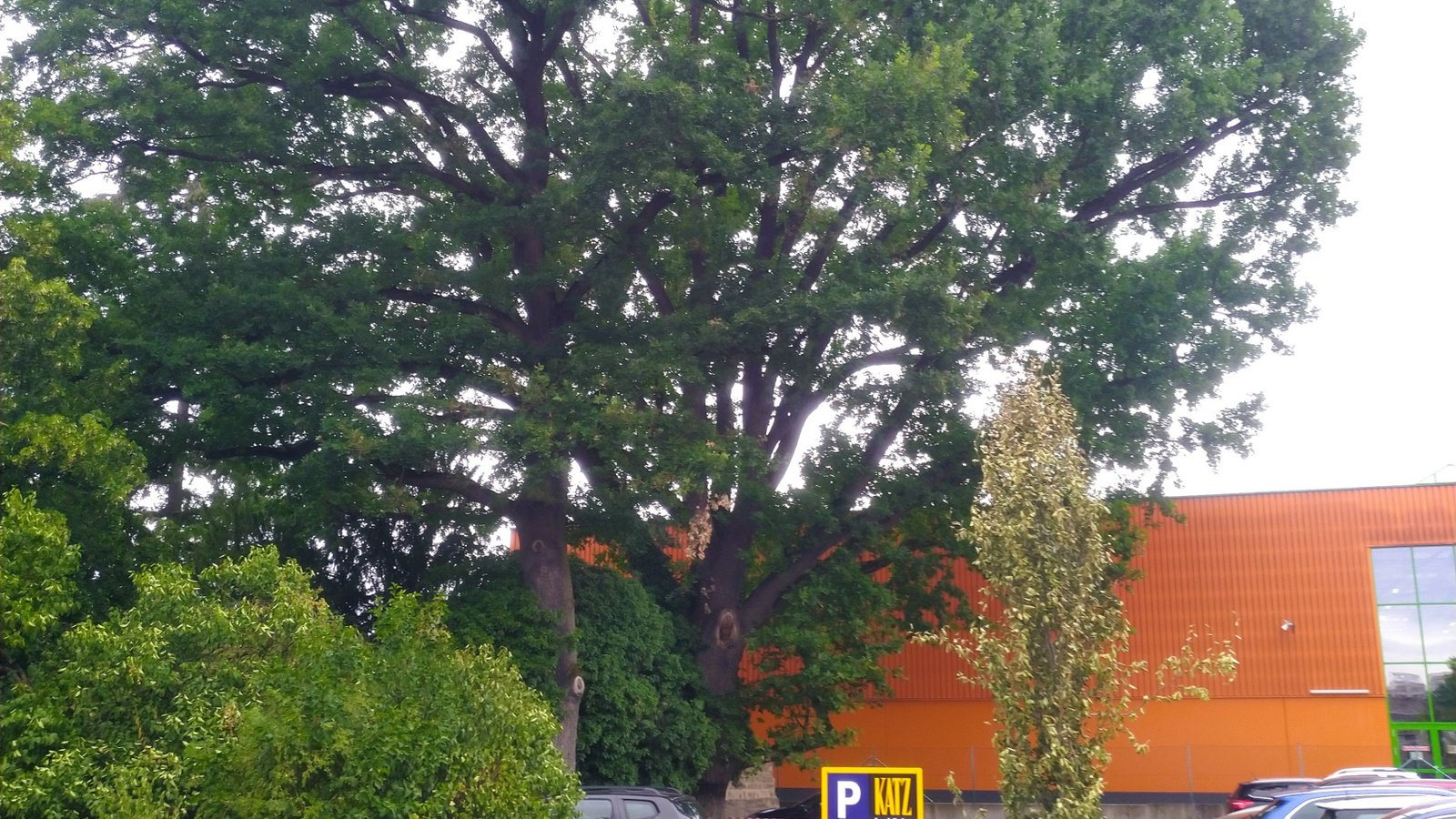 Am Ort einer früheren Garage ist jetzt ein geschotterter Parkplatz angelegt worden. Foto: Küppers