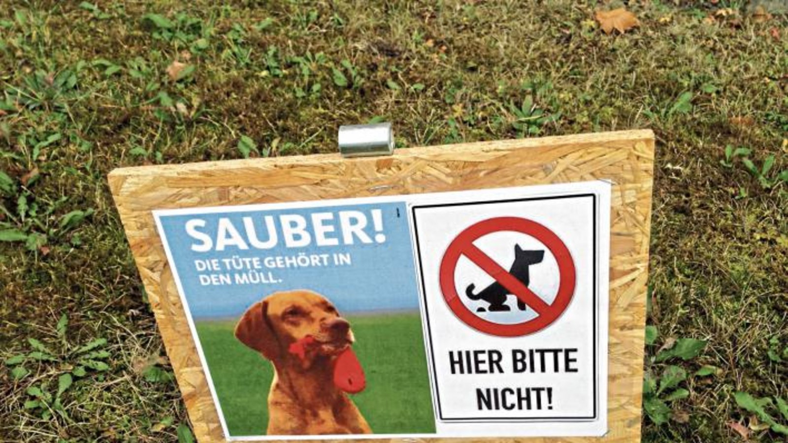„Verbotsschilder gibt es genügend, dieses ist aber sehr originell“, schreibt Friedbert Rößler zu seinem Foto aus Vaihingen. „Verbotsschilder gibt es genügend, dieses ist aber sehr originell“, schreibt Friedbert Rößler zu seinem Foto aus Vaihingen.