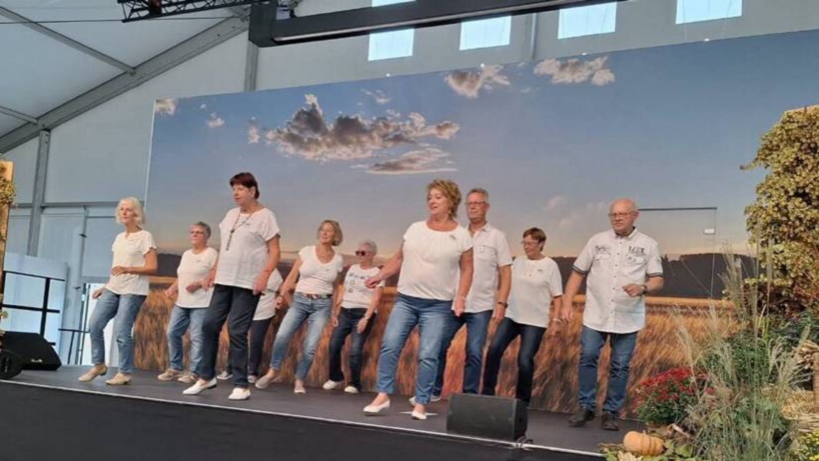 Kleiner Rückblick auf das Landwirtschaftliche Hauptfest in Stuttgart: Mit dabei war die Line-Dance-Gruppe der Sersheimer Landfrauen. Bei zwei Auftritten auf der Bühne in der Halle der Regionen zeigten sie jeweils drei Tänze und mit einer stimmungsvollen Zugabe animierten sie die Besucher zum Mitmachen. Foto: p Kleiner Rückblick auf das Landwirtschaftliche Hauptfest in Stuttgart: Mit dabei war die Line-Dance-Gruppe der Sersheimer Landfrauen. Bei zwei Auftritten auf der Bühne in der Halle der Regionen zeigten sie jeweils drei Tänze und mit einer stimmungsvollen Zugabe animierten sie die Besucher zum Mitmachen. Foto: p