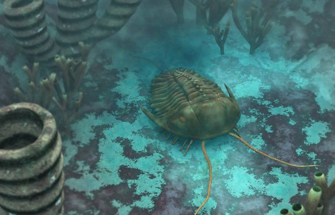 Ein Trilobite schwimmt im Ur-Ozean Panthalassa.<span class='image-autor'>Foto: Imago/StockTrek Images</span>