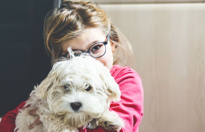 Spielgefährte, Freund und Helfer – Hunde haben positiven Einfluss auf Kinder.<span class='image-autor'>Foto: IMAGO/Pond5 Images//xromrodinkax</span>
