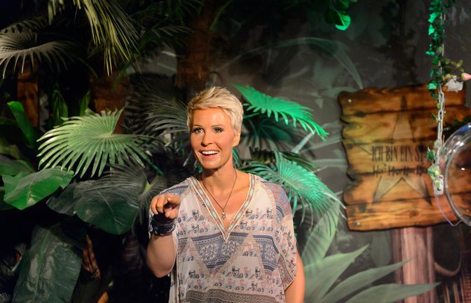Die 16. Staffel geht bald los: Das Dschungelcamp auf RTL.<span class='image-autor'>Foto: Anton_Ivanov / shutterstock.com</span>