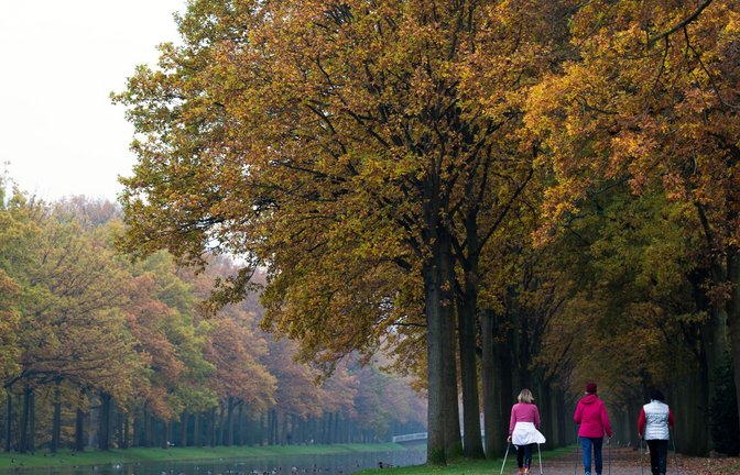 Gegen die Gewichtszunahme im Alter   hilft vor allem Bewegung.<span class='image-autor'>Foto: dpa/Swen Pförtner</span>