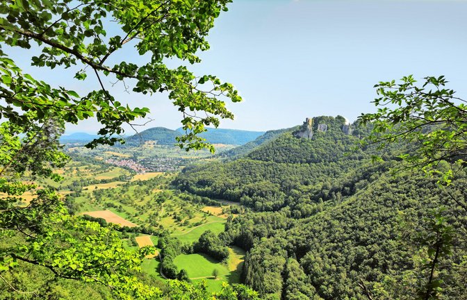 Blick ins Neidlinger Tal und zur Ruine Reußenstein.<span class='image-autor'>Foto: /Buck</span>