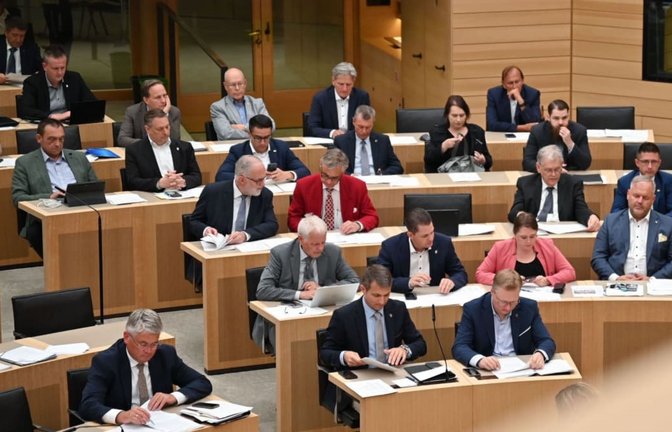 Blick auf die AfD-Fraktion während einer Sitzung des baden-württembergischen Landtags (rechts des Durchgangs): eine Truppe, die ihr ganz eigenes Spiel treibt.<span class='image-autor'>dpa</span>